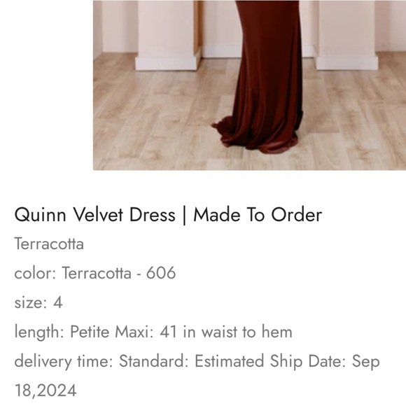Revelry Quinn Velvet Dress in Terracotta - 606. Size 4 Petite, 41” waist to hem. - Picture 5 of 5